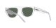 Arnette Gto AN 4293 121571