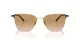 Giorgio Armani AR 6155 301313