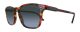 Giorgio Armani AR 8103 5580/R5