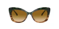 Giorgio Armani AR 8161 59302L