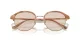Giorgio Armani AR 8215 6067M4