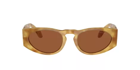 Giorgio Armani AR 8216 597973