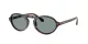 Giorgio Armani AR 8219U 587956