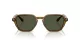Giorgio Armani AR 8220 617231