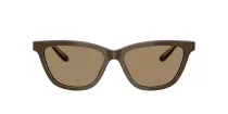 Giorgio Armani AR 8221 595753