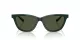 Giorgio Armani AR 8221 617331