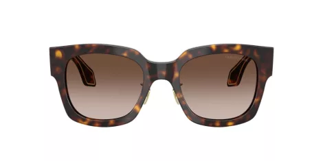 Giorgio Armani AR 8223 502613