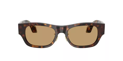 Giorgio Armani AR 8224 502673