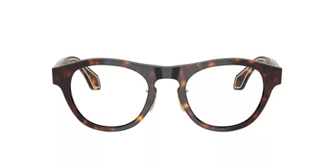 Giorgio Armani AR 8225 50261W