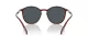 Giorgio Armani AR 8233U 6237L5