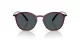 Giorgio Armani AR 8233U 6237L5