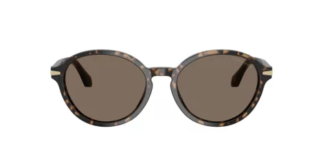Giorgio Armani AR 8237 623573