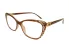 Berkeley BB 2022 Brown
