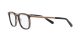 Bvlgari BV 1117 2013