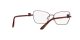 Dolce & Gabbana DG 1338 1355