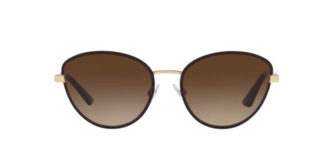 Dolce & Gabbana DG 2280 1320/13