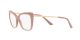 Dolce & Gabbana DG 3348 1620