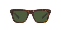 Dolce & Gabbana DG 4420 502/71