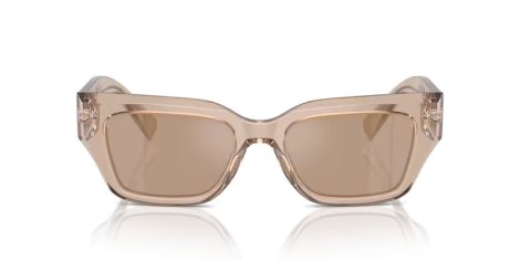 Dolce & Gabbana DG 4462 34325A