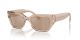 Dolce & Gabbana DG 4462 34325A