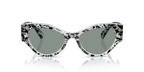 Dolce & Gabbana DG 4480 3287/1