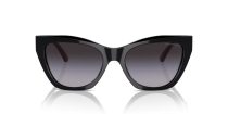 Emporio Armani EA 4176 50178G