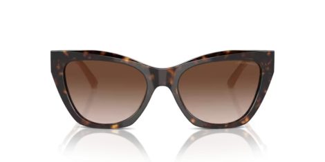 Emporio Armani EA 4176 587913