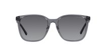 Emporio Armani EA 4206D 5029T3