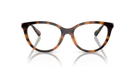 Emporio Armani EA 4213U 50261W