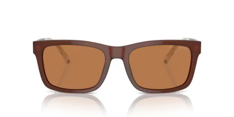 Emporio Armani EA 4224 609573