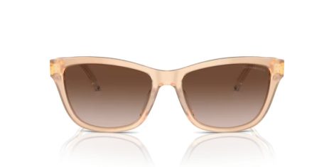 Emporio Armani EA 4227U 609813