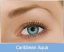 FreshLook Dimensions (2 lentile)