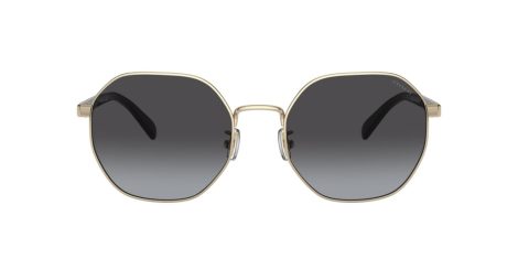 Coach Ch556 HC 7147 90058G