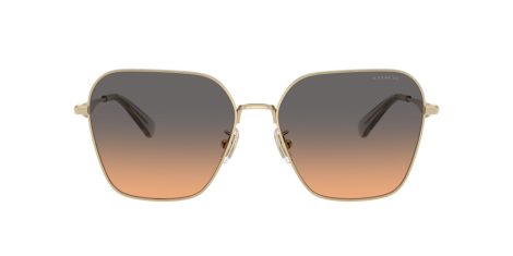 Coach Cw189 HC 7168 900518