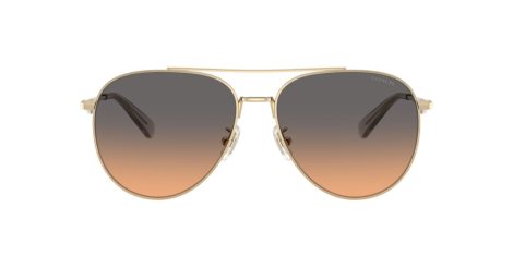 Coach Cw193 HC 7169 900518