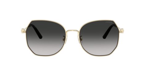 Coach Cad79 HC 7175 90053C