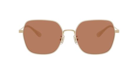 Coach Cae93 HC 7180D 94683