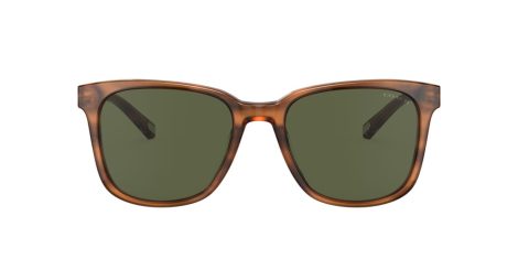 Coach C2095 HC 8313U 558171