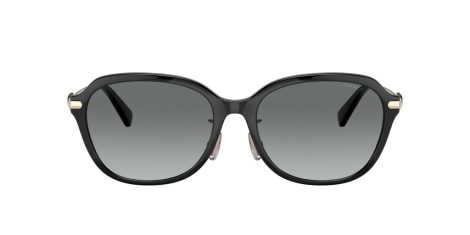 Coach C6199 HC 8332D 500211 Coach C6199 HC 8332D 500211