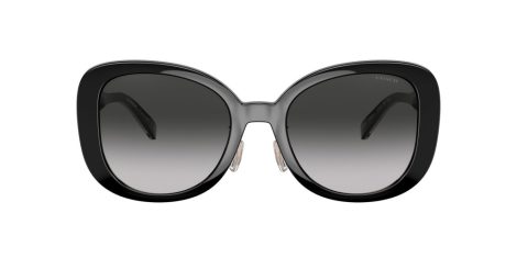 Coach C7995 HC 8333 50023C Coach C7995 HC 8333 50023C