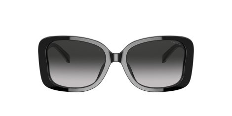 Coach C7994 HC 8334U 50023C Coach C7994 HC 8334U 50023C