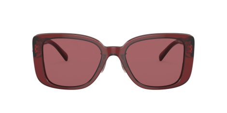 Coach Cd472 HC 8352 571369