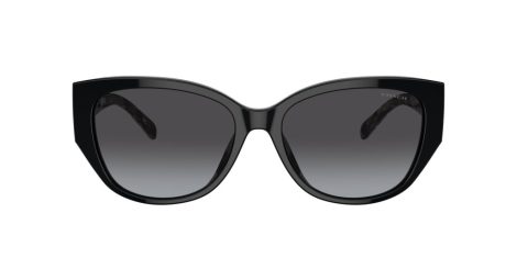 Coach Ch563 HC 8362U 50028G