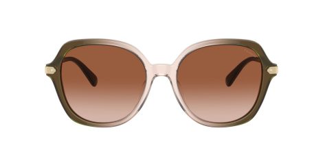 Coach Cl925 HC 8377U 540013