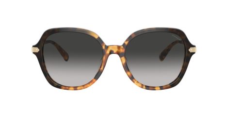 Coach Cl925 HC 8377U 577613