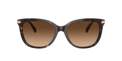 Coach Cl926 HC 8378U 512074