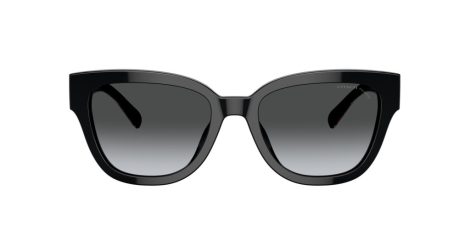 Coach Cl920 HC 8379U 5002T3