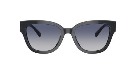 Coach Cl920 HC 8379U 57654L