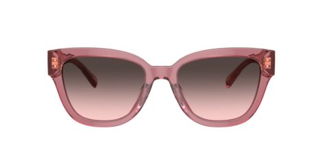 Coach Cl920 HC 8379U 580046