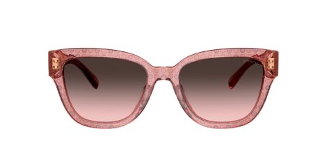 Coach Cl920 HC 8379U 583646